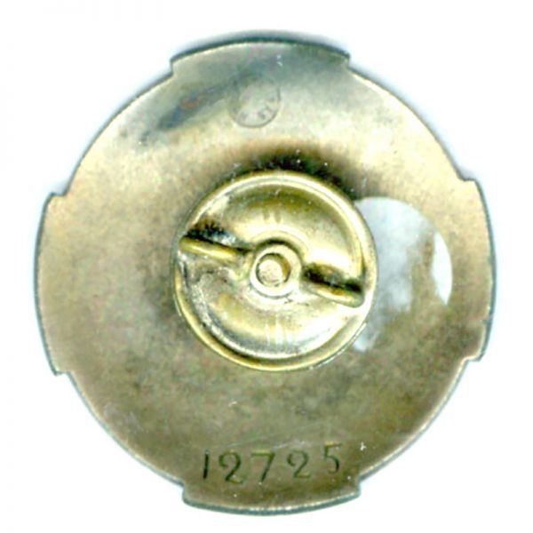 Civil Guard Efficiency badge 3rd class numbered 	(L21040)  G.V.F. £48 2