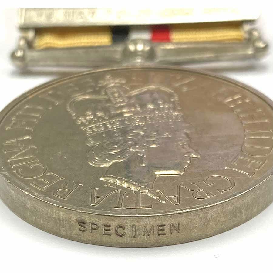 Iraq Medal 2003 with Bar Specimen 3